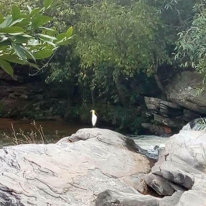 ホテル Pouso Do Rio Pirenópolis エクステリア 写真